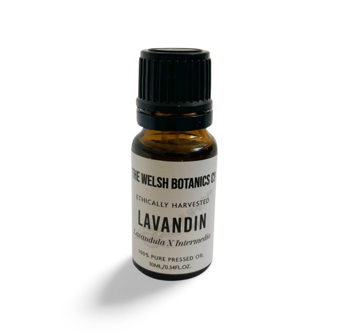 LAVANDIN- LAVANDULA X INTERMEDIA 100% PURE ESSENTIAL OIL