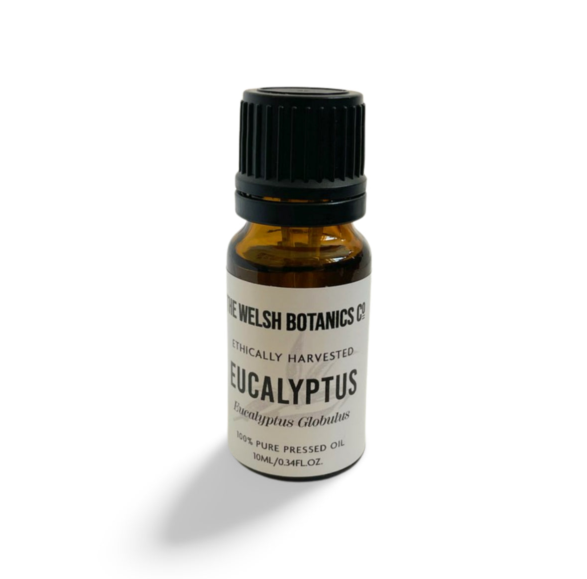 EUCALYPTUS-EUCALYPTUS GLOBULUS 100% PURE ESSENTIAL OIL