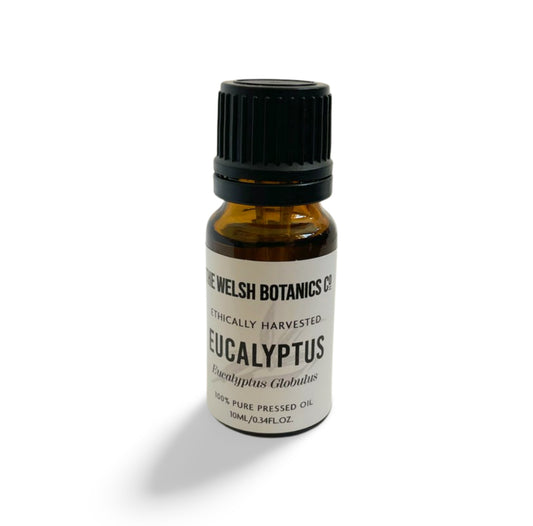 EUCALYPTUS-EUCALYPTUS GLOBULUS 100% PURE ESSENTIAL OIL